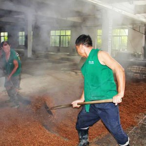 喚醒兩千余條窖池，新的釀酒季由此開(kāi)始