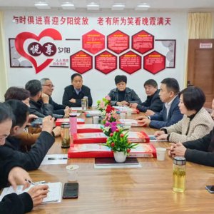 鹿城鎮(zhèn)老年協(xié)會學習宣傳貫徹黨的二十大精神，結合實際做好自身工作討論會召開