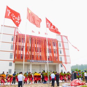 安徽胡王府：預制菜產(chǎn)業(yè)新生力量，助推鄉(xiāng)村振興